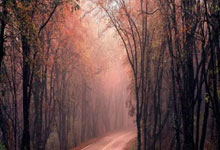 生活科普节目开场白：3秒抓住观众注意力，让知识不再被换台