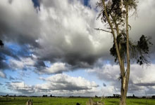 生活科普知识网站推荐一下:精选权威趣味平台,轻松打开知识新世界