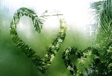 生活类科普小知识手抄报图片制作全攻略：从布局到素材轻松搞定