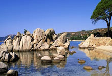 生活类科普小知识手抄报内容：让孩子爱上科学，轻松掌握生活常识