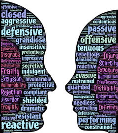 生活科普知识大全实用图片素材：让复杂知识一目了然的视觉宝库