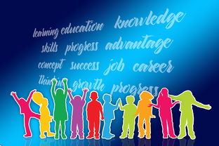 生活教育电视台：让实用知识融入日常，轻松提升生活品质