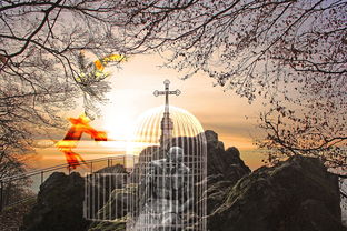 生活教育系列节目活着第五集：在雨中起舞的生命智慧，教你如何面对逆境与寻找人生意义