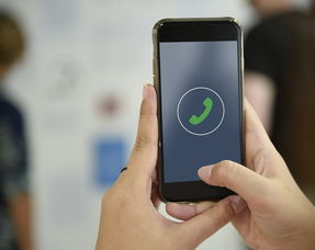 最全的生活百科知识大全视频讲解：解锁日常难题的实用技巧宝库